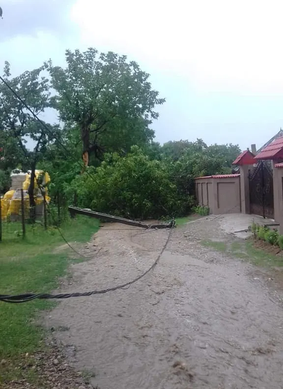 ULTIMA ORĂ  Nuc trăsnit în Păunești, unde plouă cu găleata