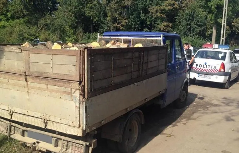 Șofer prins beat și cu un transport de lemne fără documente