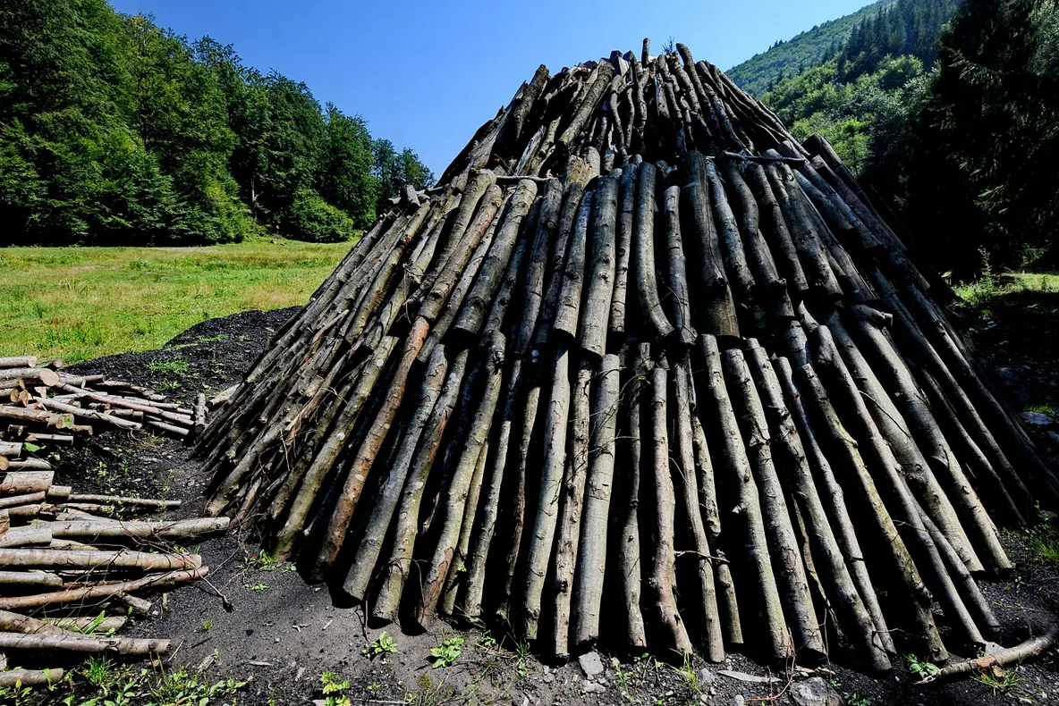 Amenzi la producătorii de mangal din Burca
