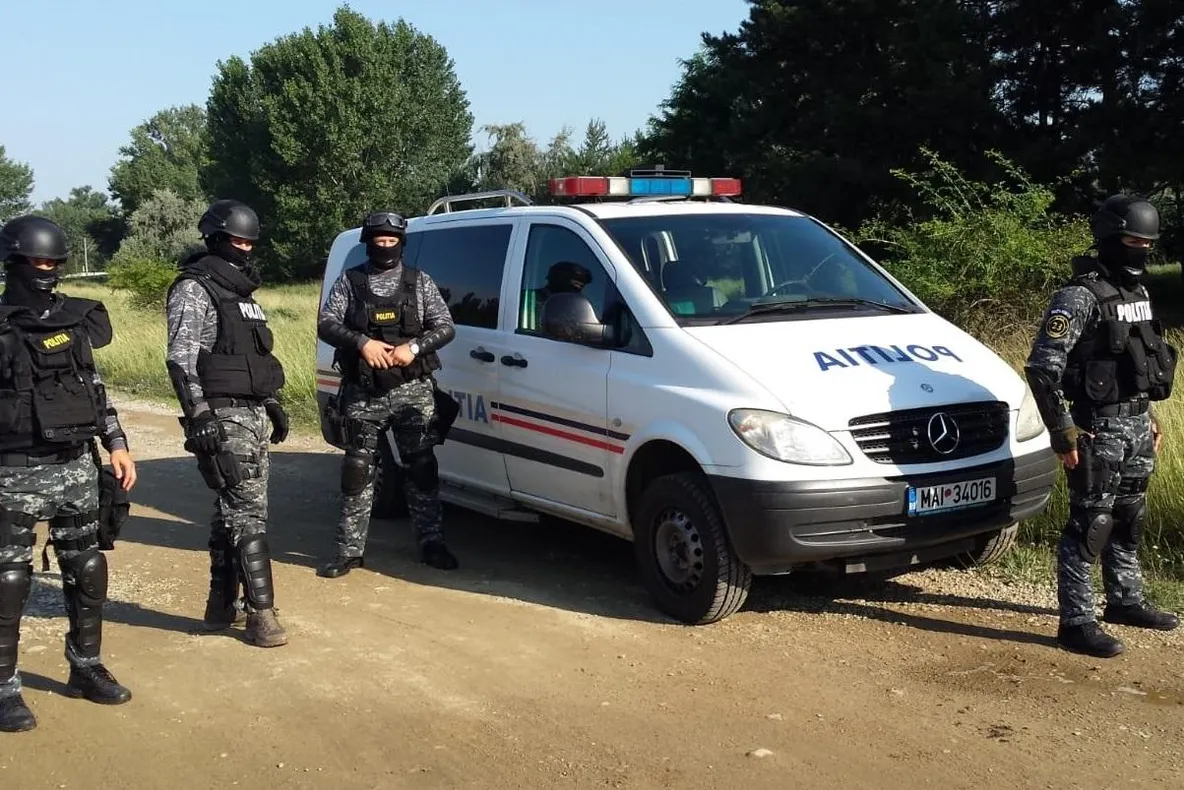 ULTIMA ORĂ   Percheziții la tăietorii de lemne