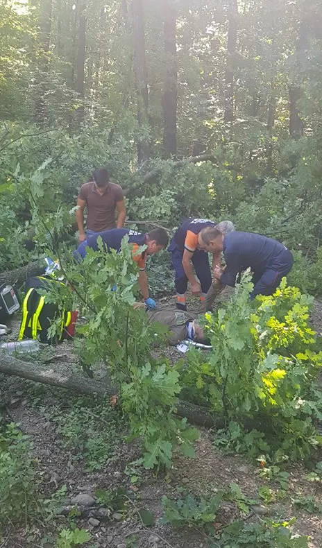 ULTIMA ORĂ   Bărbat lovit de un copacul pe care l-a tăiat