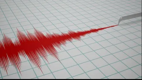 Cutremur de 3,8 pe Richter, azi dimineață
