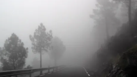 Ceață și polei, în zona de șes