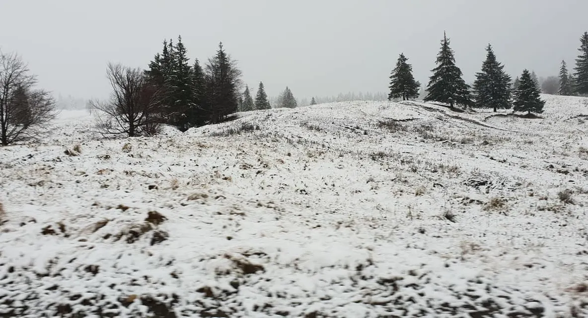 Primele probleme pe drumuri din cauza ninsorii. Ce ne sfătuiesc polițiștii