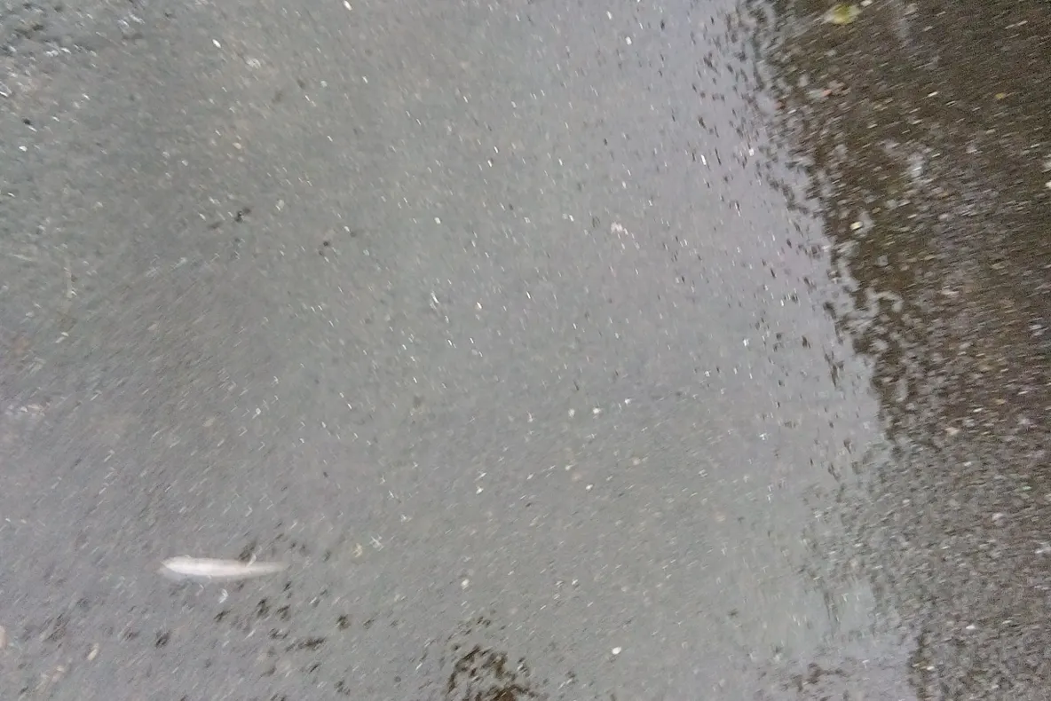 ULTIMA ORĂ   Cod portocaliu de polei în județul Vrancea