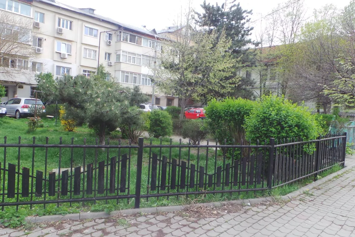 USR Vrancea: Clanul Duță pune stăpânire și pe oraș, nu doar pe păduri