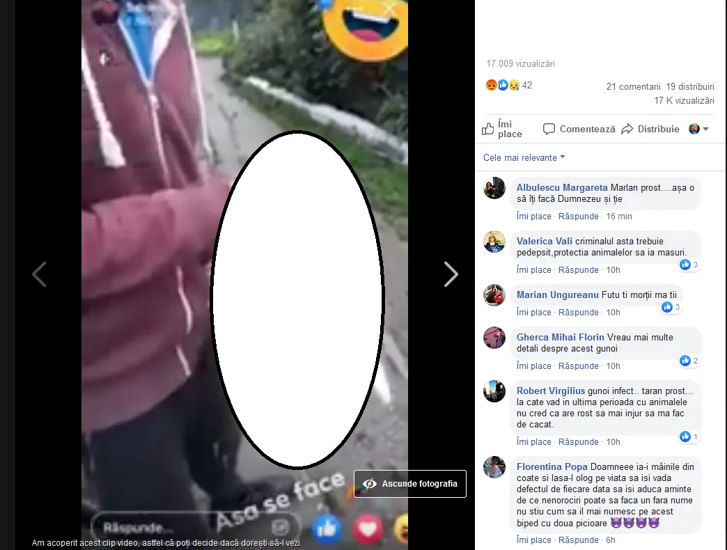 ATENȚIE! IMAGINI CU IMPACT EMOȚIONAL! Un tânăr, presupus din Focșani, ucide o pisică dintr-un pumn