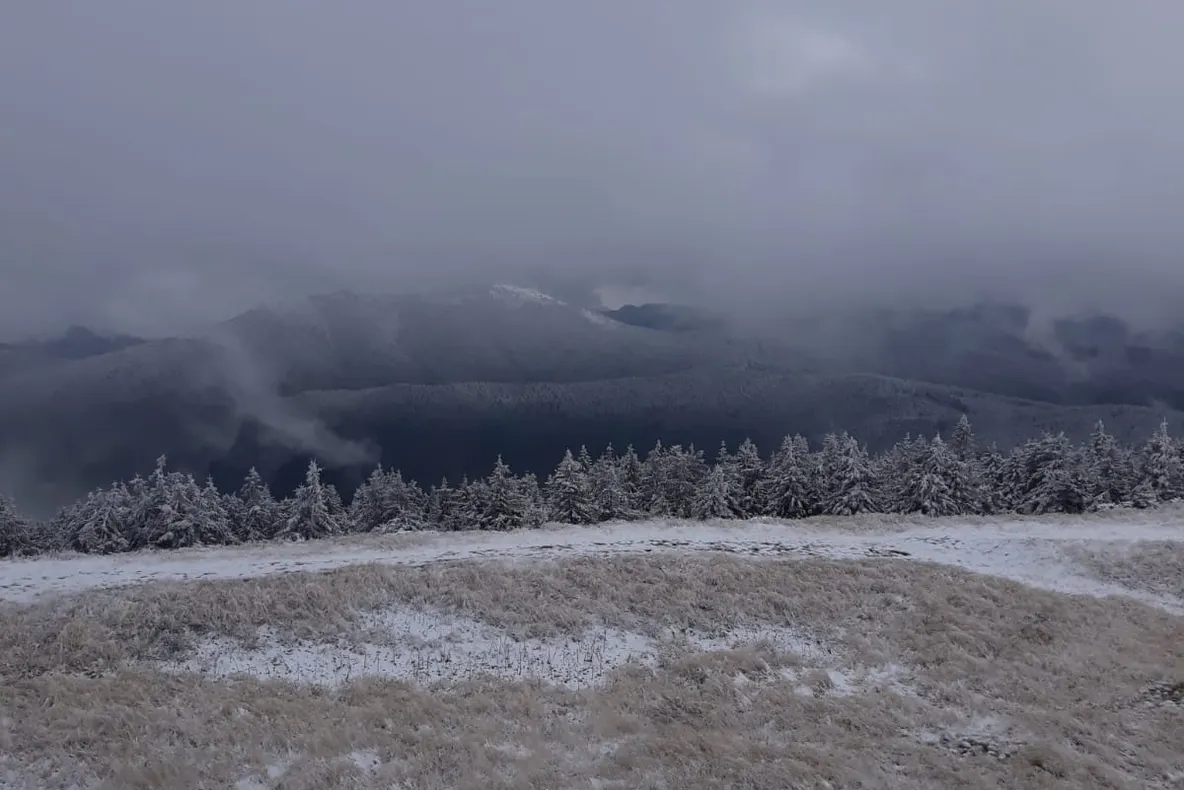 FOTO   Primii fulgi de zăpadă și în Vrancea