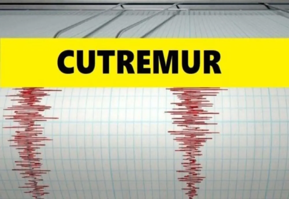 Cutremur luni dimineata în Vrancea