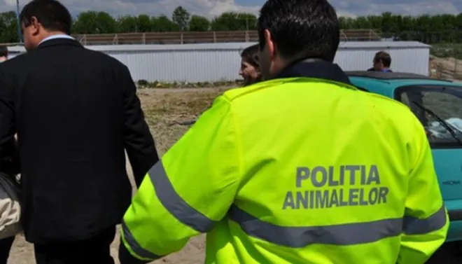 Câte posturi sunt disponibile la IPJ Vrancea pentru Poliția Animalelor și cum vă puteți înscrie