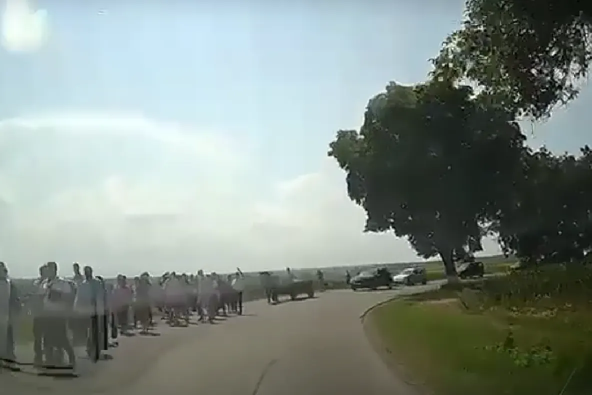 VIDEO Culturi stropite în Vrancea cu aghiasmă de sobor de preoți