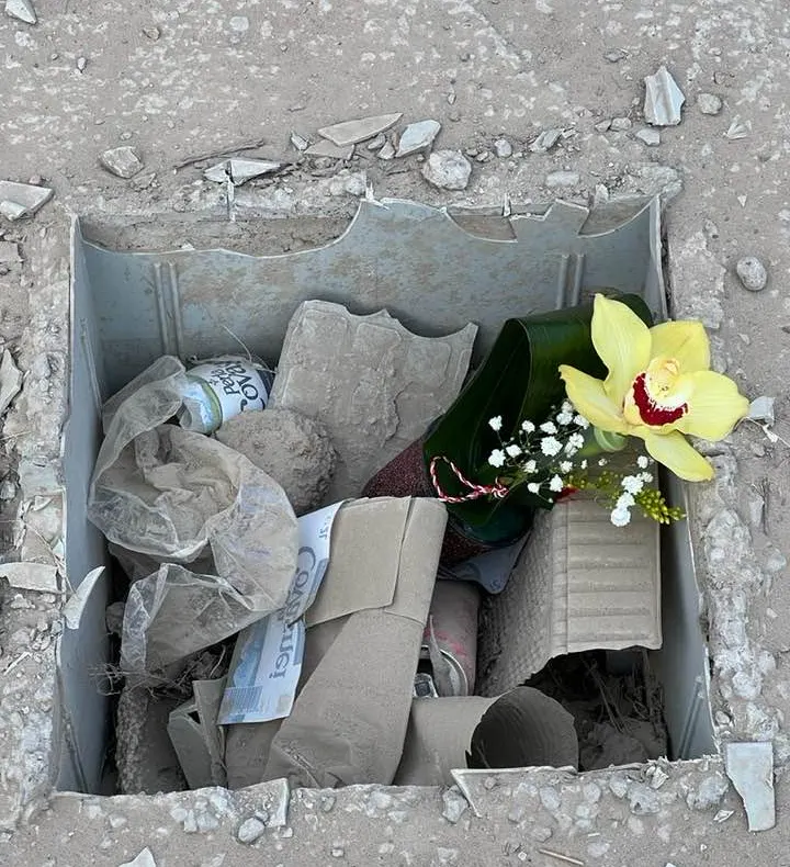 FOTO PNL Focșani a pus flori în gropile din oraș, protestând față de felul în care arată urbea