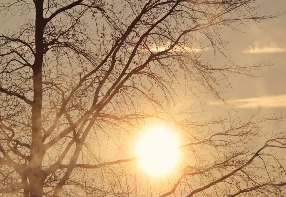 VREMEA 14 FEBRUARIE. TEMPERATURI ÎN CREȘTERE ÎN CEA MAI MARE PARTE A ȚĂRII