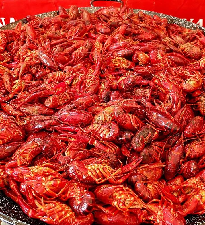 Caravana racilor, la Focșani