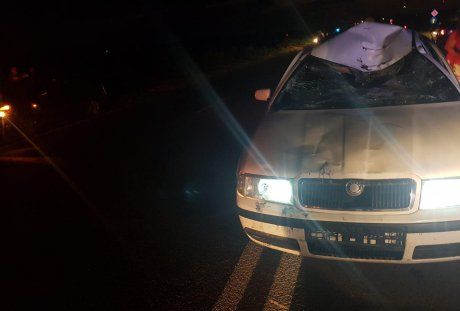 O femeie a murit după ce mașina în care se afla a acroșat un cal