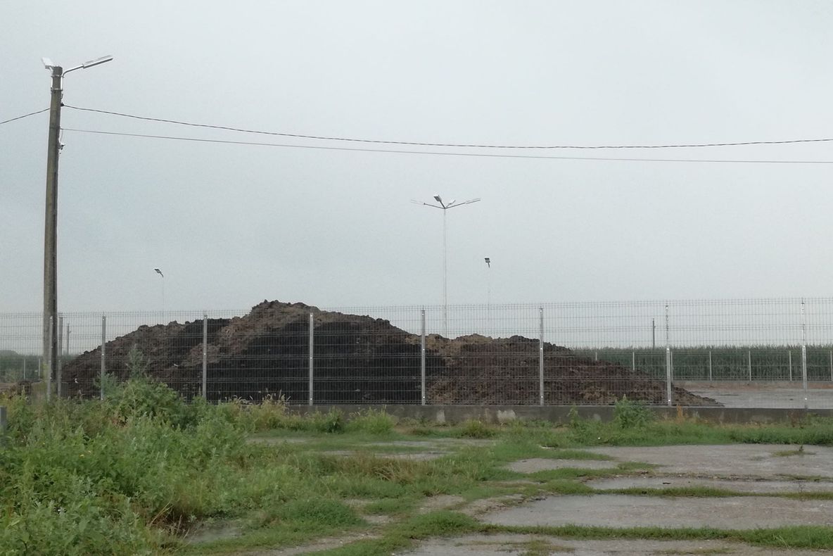 VIDEO: Poluare cu dejecții de porc la Măicănești, în disprețul legii și spre disperarea localnicilor