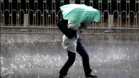 ULTIMA ORĂ  Cod galben de vijelii în Vrancea