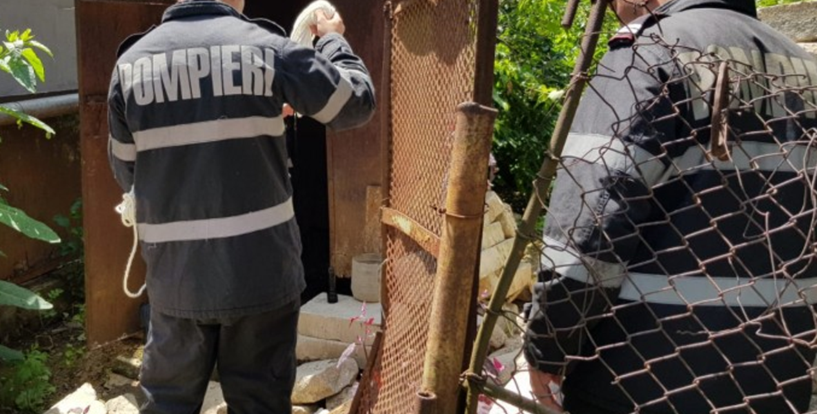 ULTIMA ORĂ  Operațiune de salvare a unui câine