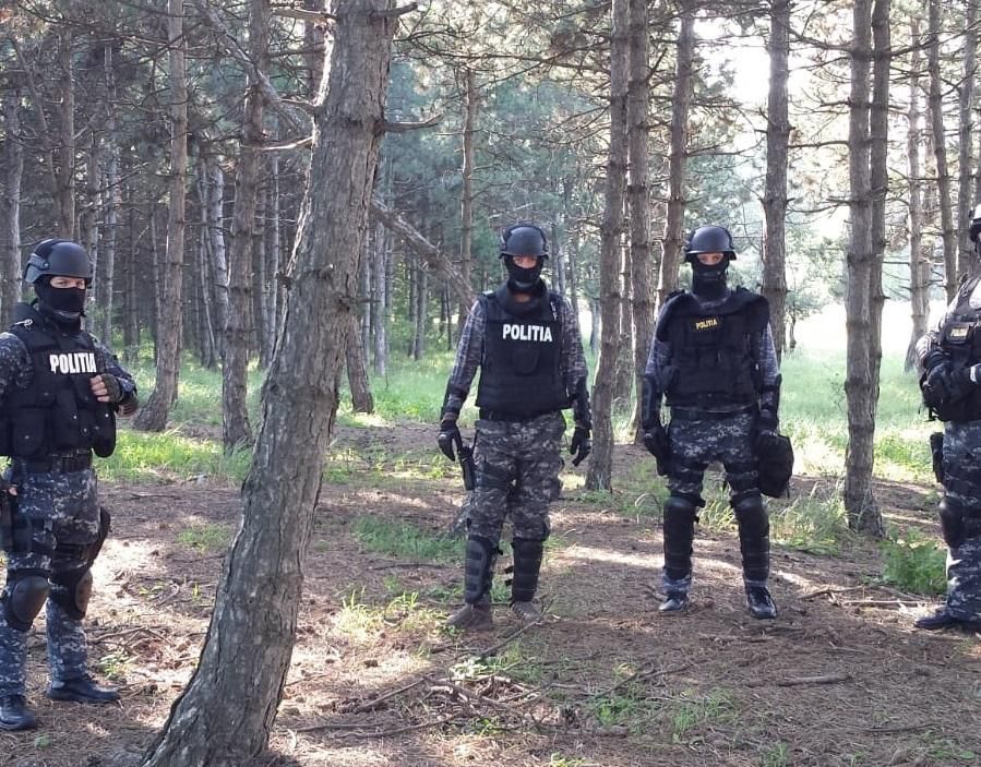 Ce măsuri au luat polițiștii în urma perchezițiilor din zona de munte