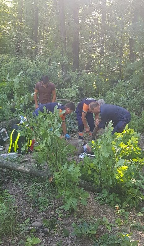 ULTIMA ORĂ   Bărbat lovit de un copacul pe care l-a tăiat