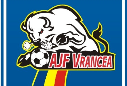 Concurență pentru șefia AJF Vrancea. Doi instructori de înot vor șefi la fotbal