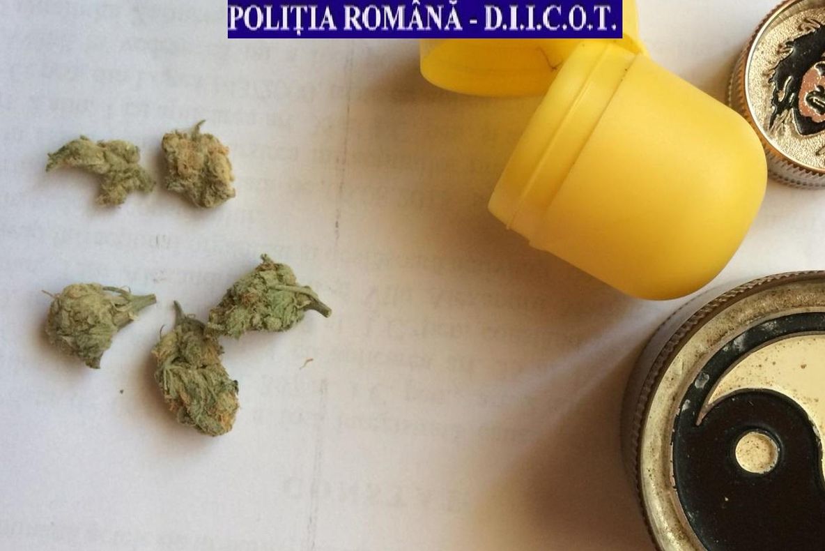 Focșănean în cătușe pentru consum și trafic de cannabis