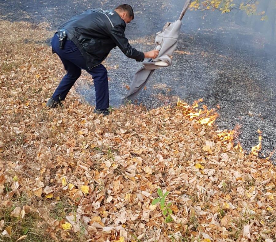 FOTO  Incendiu de vegetație stins de polițiștii din Dumitrești și Chiojdeni. Ce pericol pândea