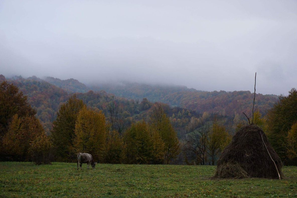 Adolescentă plecată din Slobozia Ciorăști, găsită la Nereju