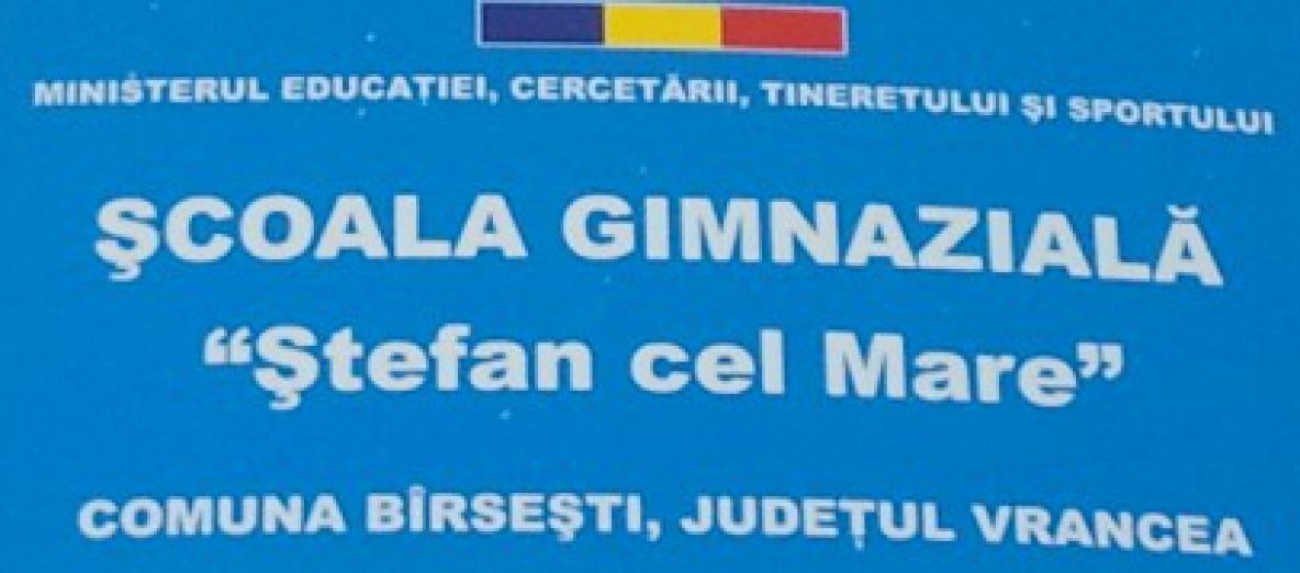 Contabilul Primăriei Bîrsești, declarat incompatibil