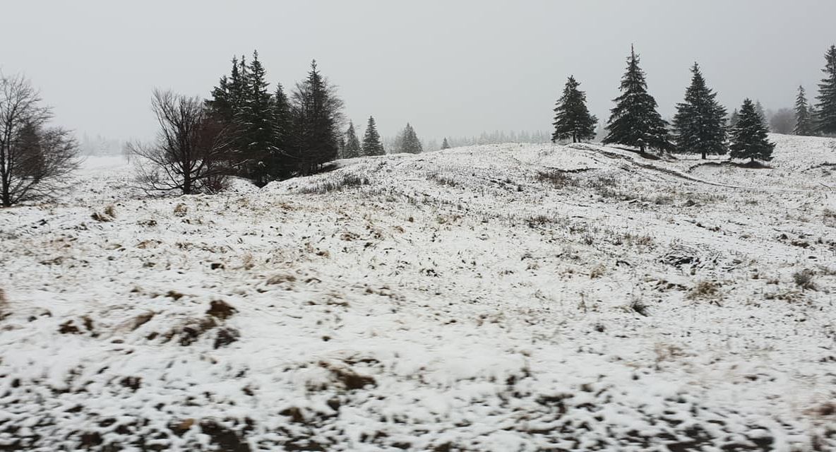 Primele probleme pe drumuri din cauza ninsorii. Ce ne sfătuiesc polițiștii