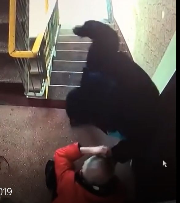 Doi băcăuani au tâlhărit un tânăr din Corbița