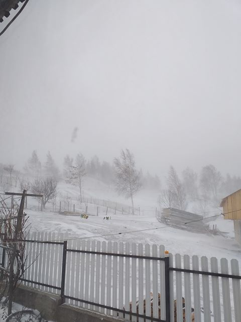 Ninge în Munții Vrancei