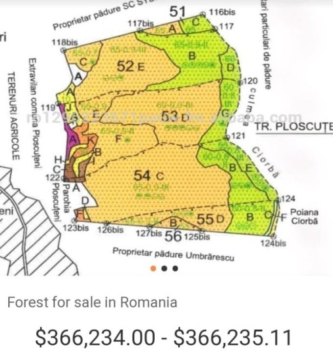CUM NE DISPAR CODRII:  Pădurile Vrancei, vândute pe site-uri de anunțuri