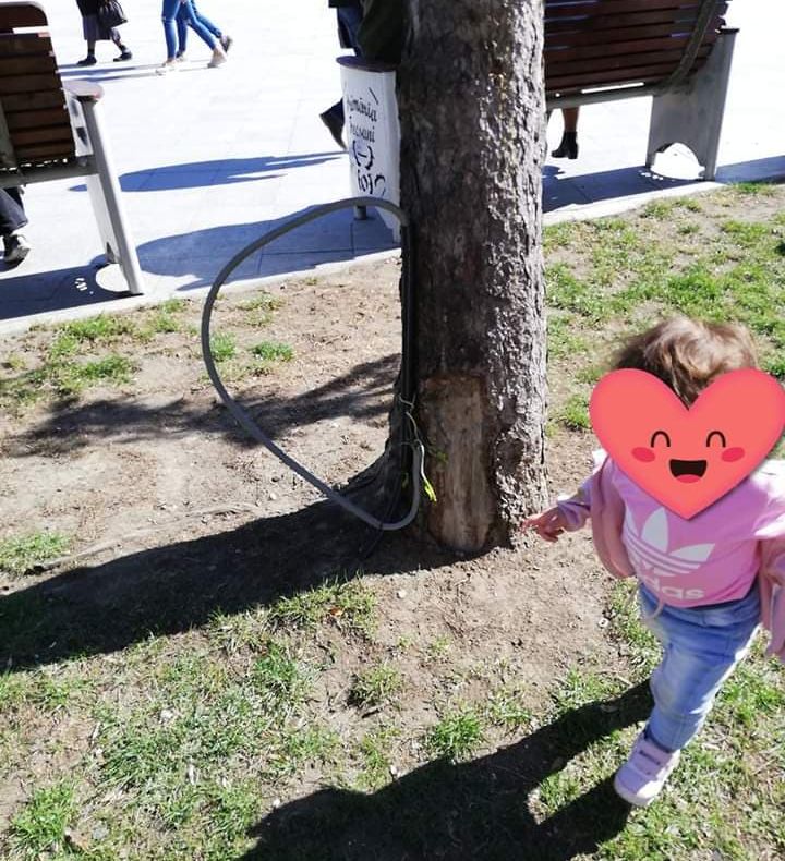 Neglijență criminală în parcurile și Piața Unirii din Focșani! Mămicile ne-au sesizat pericolul de moarte la care se expun copiii lor