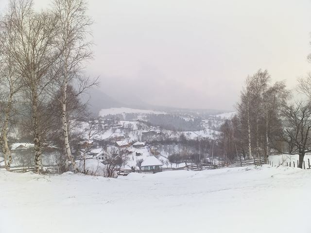 FOTO   ”Babele” au ajuns în Munții Vrancei