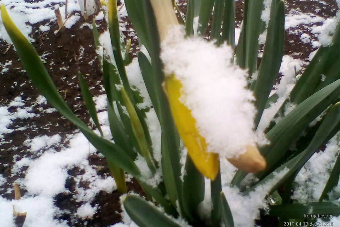 FOTO   A nins în Munții Vrancei