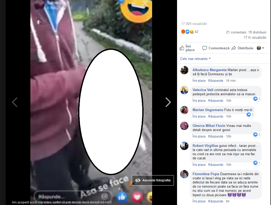 ATENȚIE! IMAGINI CU IMPACT EMOȚIONAL! Un tânăr, presupus din Focșani, ucide o pisică dintr-un pumn