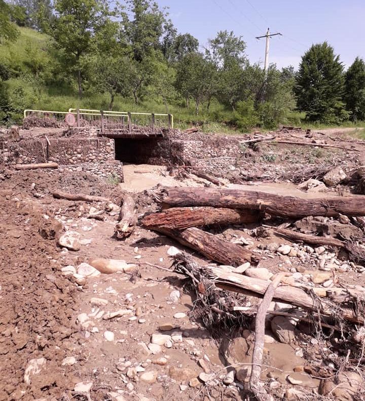 FOTO   Ploaia torențială a creat mari probleme în Poiana Cristei