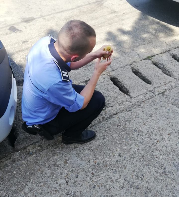 Mac, mac! Bobocul Vlăduț, salvat de polițiștii din Garoafa