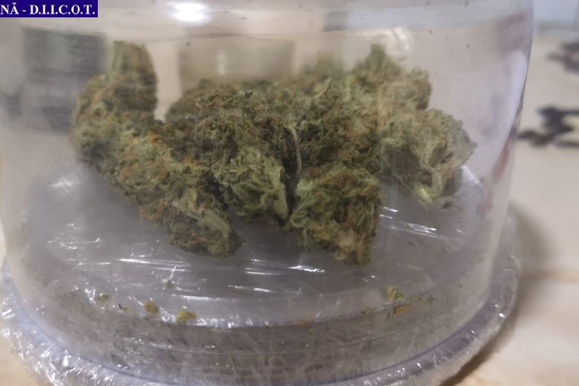 ULTIMA ORĂ VIDEO Trei focșăneni reținuți pentru trafic de droguri