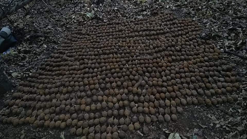 "Captură" record de peste o mie de grenade neexplodate din Primul Război Mondial, la Câmpuri