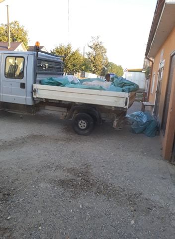 ULTIMA ORĂ Pestă porcină confirmată și în comuna vrânceană Răcoasa