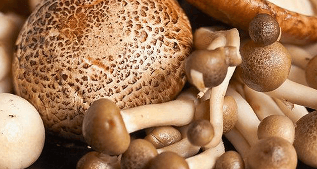 Plecată după ciuperci, o femeie s-a rătăcit în pădure