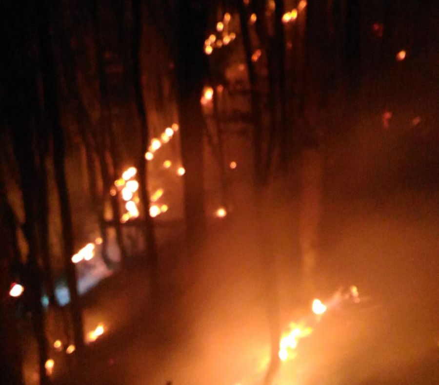 FOTO   Incendiu, azi noapte, la o gospodărie din Dragosloveni, comuna Dumbrăveni