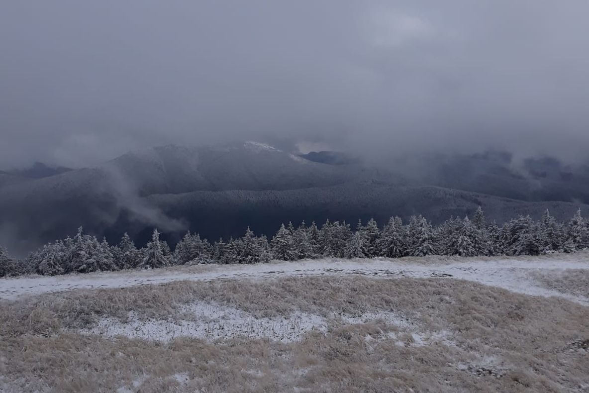 FOTO   Primii fulgi de zăpadă și în Vrancea