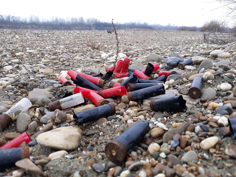 Poate că angajații Gărzii de Mediu ar trebui să-și ia salariul de pe albia Siretului: se ucid păsări în Arie Protejată și nimeni nu face nimic