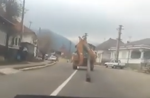 VIDEO Dorel lovește la Soveja