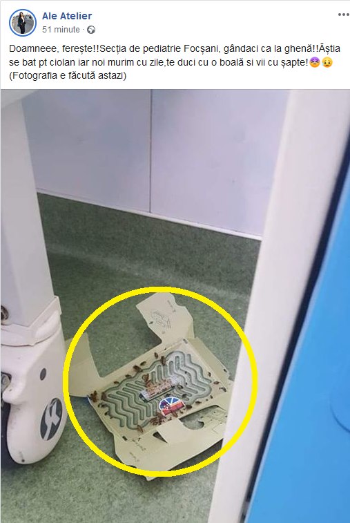 Controlul din Spitalul cu gândaci s-a lăsat cu ... nici o sancțiune