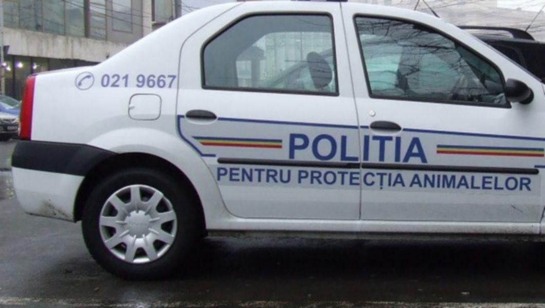 Încep angajările, din sursă externă, la Poliția Animalelor. Încep și concursurile de trecere din funcția de subofițer în cea ofițer