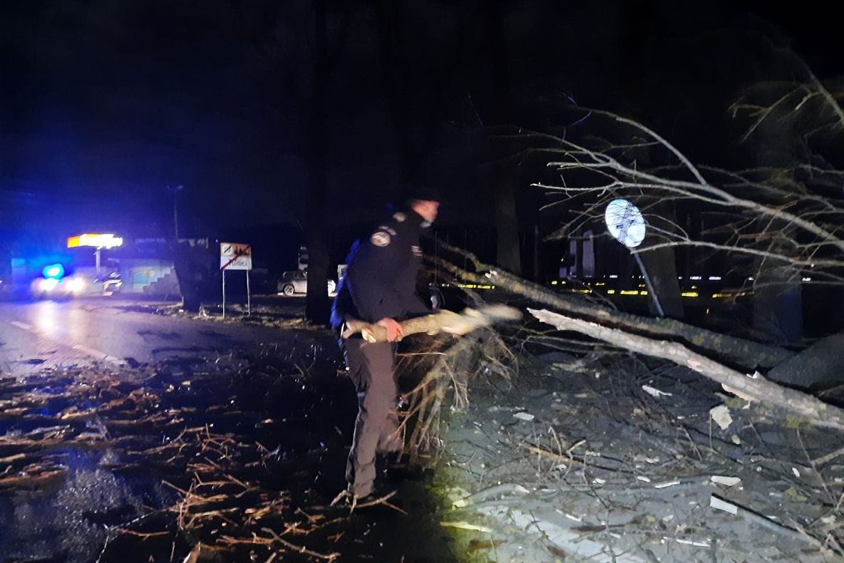 VIDEO Intrarea în Tulnici - blocată de arborii doborâți de vântul puternic